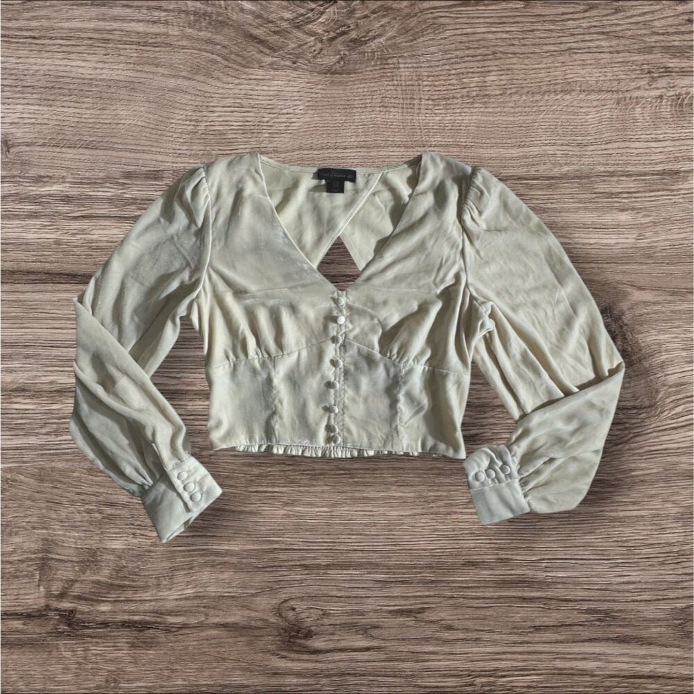 Vintage Inspired Velvet Cottagecore Boho Open Back Crop Top Long Sleeve VNeck
